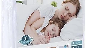 Best 5 Bed Bug Encasement for Mattress