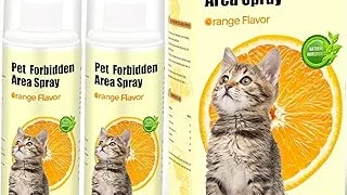 Top Rated 5 How to Get Out Cat Pee From Mattress